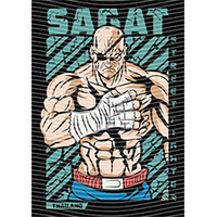 Japanese anime-JP 1861